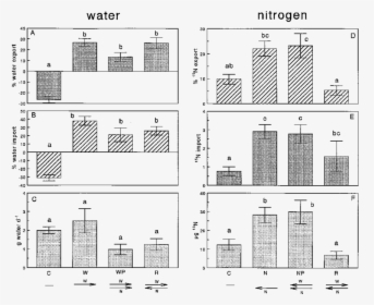 Diagram, HD Png Download, Free Download