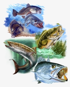 Great Dane Graphics Fishing Collage - Marlin, HD Png Download, Free Download