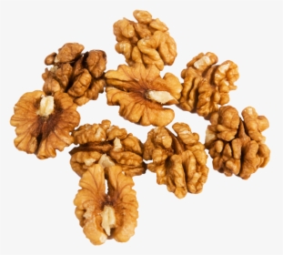 Walnut Png Images Free Download - Walnuts Png, Transparent Png, Free Download