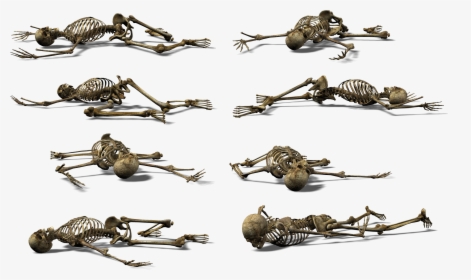 Skeleton Png - Скелеты Пнг, Transparent Png, Free Download