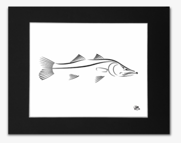 Snook Drawing Sea Trout - Black And White Snook, HD Png Download, Free Download
