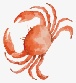 Lobster Clipart Mud Crab - Crab Clipart, HD Png Download, Free Download