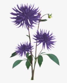 Flower Plant Texture Png, Transparent Png, Free Download