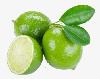 Lime Fruit, HD Png Download, Free Download