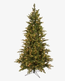 6.5 Christmas Tree, HD Png Download, Free Download
