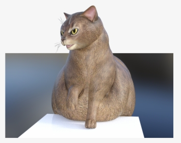 Fat Cat Is Squish , Png Download - Domestic Short-haired Cat, Transparent Png, Free Download