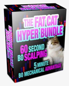 Get The Fat Cat Hyper Bundle Now, And See For Yourself, - Asian, HD Png Download, Free Download