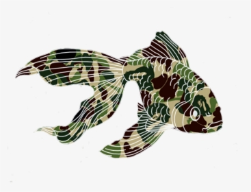 #camouflage #fish #goldfish #camouflagefish #koifish - Lionfish, HD Png Download, Free Download