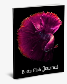 Betta Fish On Black Background, HD Png Download, Free Download