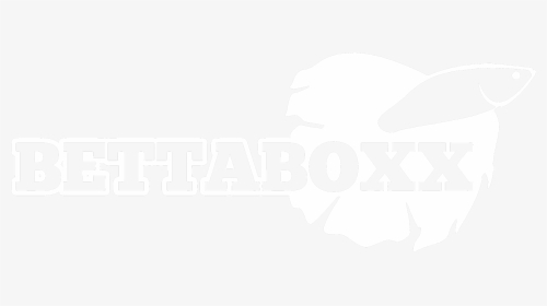 Bettaboxx - Graphic Design, HD Png Download, Free Download