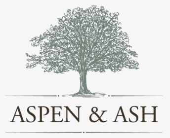 Aspen And Ash - Ash And Aspen, HD Png Download, Free Download