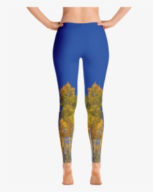 Leggings, HD Png Download, Free Download