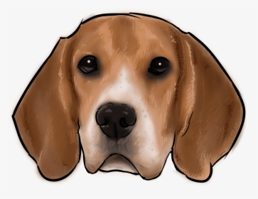 46 Why Are You A Beagle - Beagle, HD Png Download, Free Download