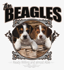Beaglier, HD Png Download, Free Download