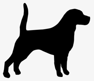 Beagle Bloodhound English Mastiff Affenpinscher Puppy - Australian Cattle Dog Silhouette, HD Png Download, Free Download