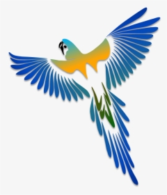 Birds Illustrations Art Islamic Graphics Adornos Pinterest - Bird Tattoo Drawing, HD Png Download, Free Download