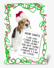 Dear Santa Beagle Greeting Card - Basset Hound, HD Png Download, Free Download