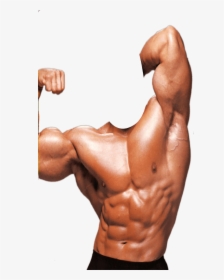Free Png Body Builder - Body Builder Photo Suit, Transparent Png, Free Download