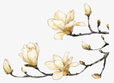 Magnolia Clipart Southern - White Water Color Flower Png, Transparent Png, Free Download