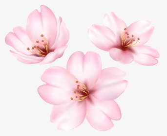 Clip Art Image, HD Png Download, Free Download