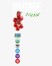 Non-gmo Project, HD Png Download, Free Download