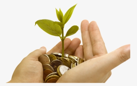 Money Growing In Hand, HD Png Download, Free Download