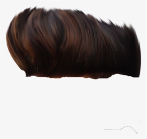 Png Images Free Transparent Download Page 2 Kindpng - free roblox black hair png image with transparent background png free png images in 2020 black hair roblox hair png black hair