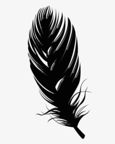 Transparent Background Feather Png, Png Download, Free Download