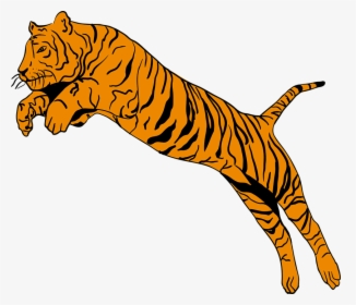 Bengal Tiger Clipart 2, Buy Clip Art - Do You See First Animals, HD Png Download, Free Download