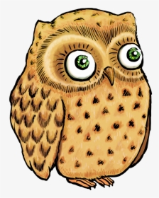 Owl, Cute Owl, Owl Illustration, Owl Drawing, Bird - Sonidos Con Buho Animado, HD Png Download, Free Download