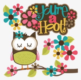 You Re A Hoot Owl, HD Png Download, Free Download