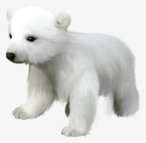 Free Png Download Cute Small Polar Bear Png Images - Cute Polar Bear Clipart, Transparent Png, Free Download