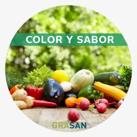 Proveedor De Verduras Y Frutas - Maintain A Healthy Diet, HD Png Download, Free Download