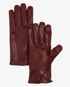 Leather Women Gloves - Leather Glove Transparent Background, HD Png Download, Free Download