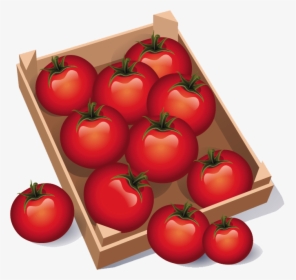 Cajon Tomates - Kelebihan Tomato Untuk Kulit, HD Png Download, Free Download
