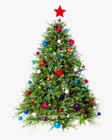 Clipart Christmas Tree Png - Christmas Tree Images Png, Transparent Png, Free Download