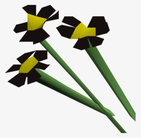 Runescape Flowers, HD Png Download, Free Download