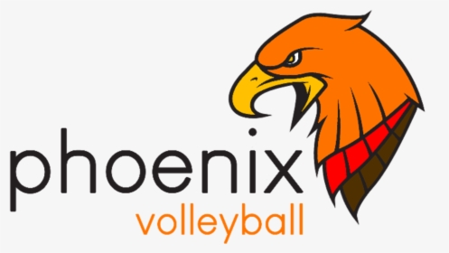 Phoenix Volleyball Is Excited To Announce That Registration - Phoenix Pharmacy Benefits Management, HD Png Download, Free Download