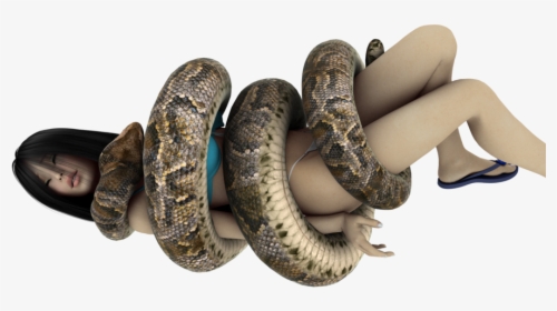 Snake Giant Anaconda Digital Art - Anaconda Snake Squeeze Girl, HD Png Download, Free Download