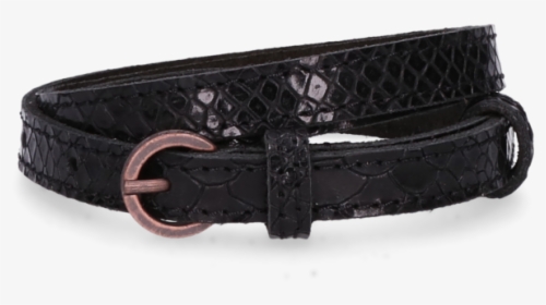 Buckle, HD Png Download, Free Download