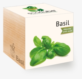 Transparent Basil Png - Basil, Png Download, Free Download