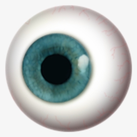 Eye Png Free Download - Eyeball Png Transparent, Png Download, Free Download