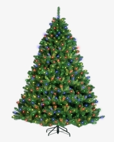 White Christmas Trees Png - Pine Tree Christmas, Transparent Png, Free Download