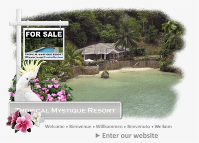 Welcome To The Tropical Mystique Resort - Клипарт 8 Марта, HD Png Download, Free Download
