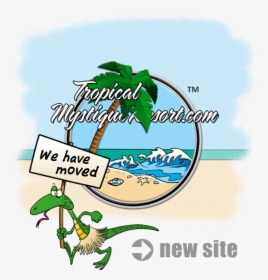 We Have Moved To Www - Illustration, HD Png Download, Free Download