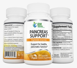 Pancreas Support, HD Png Download, Free Download