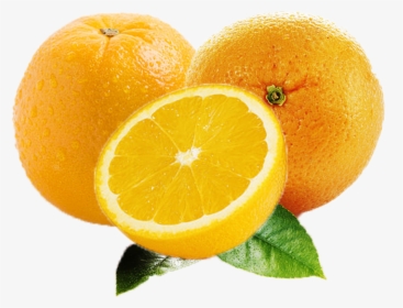 Orange Fruit Png Images Free Download Searchpng - Rangpur, Transparent Png, Free Download