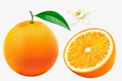 Фотки Orange Bowl, Orange Fruit, Fruits And Vegetables, - Orange Fruits Images Free Download, HD Png Download, Free Download