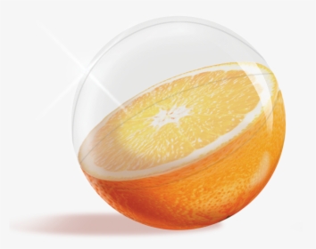 Orange Fruit Inflatable Beach Ball - Fruit Beach Ball, HD Png Download, Free Download