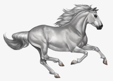 Running Transparent Background Horse Png, Png Download, Free Download